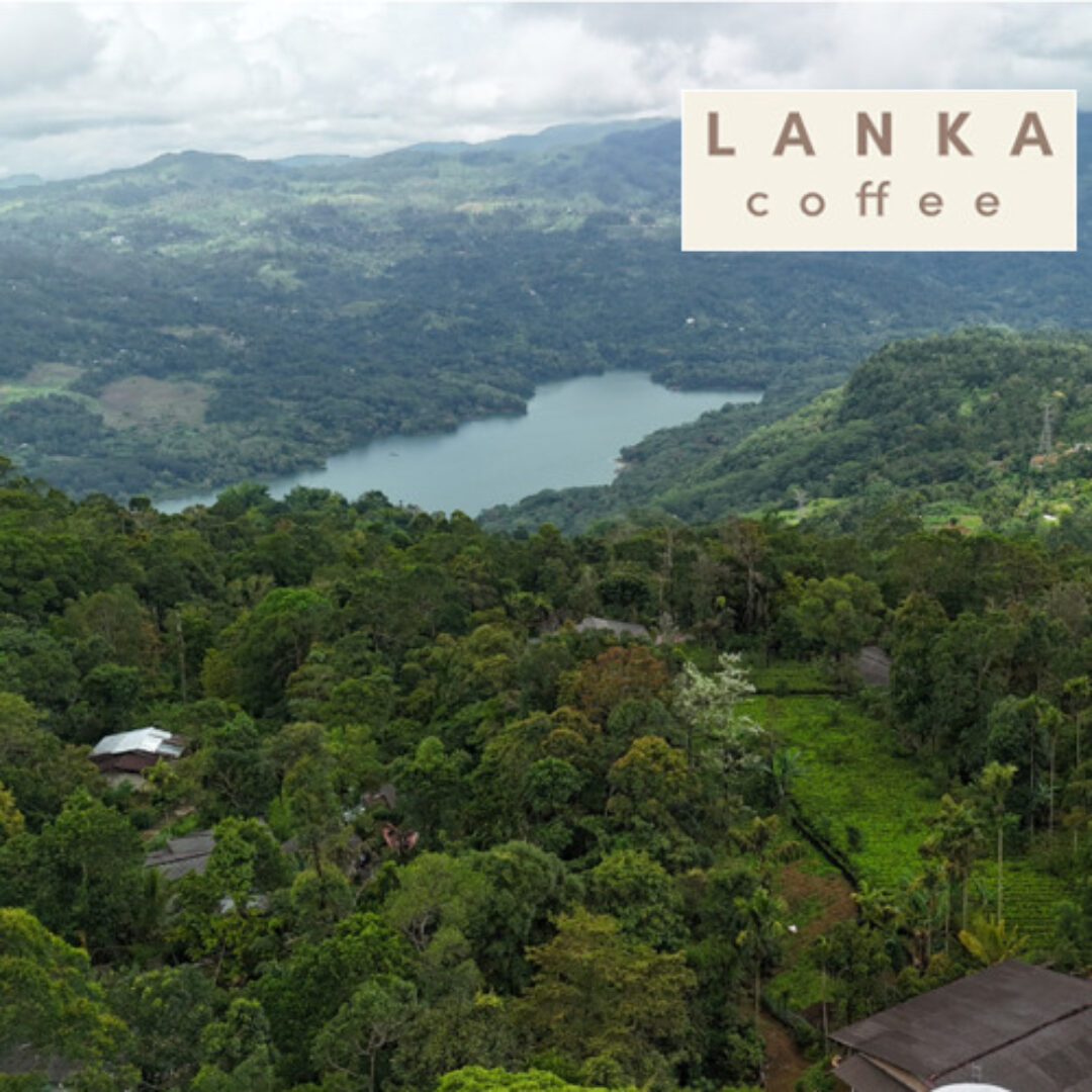 Sociale website voor Lanka Coffee