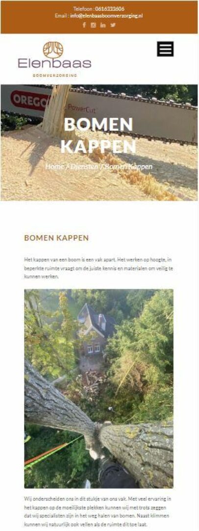 Boomklimmen voor je werk