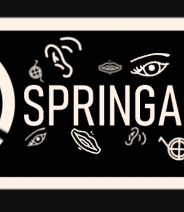 SpringAbility ziet het levenslicht van Webburo Spring