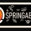 Spring Ability Webburo SpringSpringAbility ziet het levenslicht van Webburo Spring