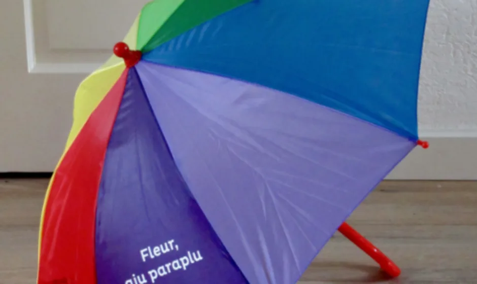 Portfolio Stiksels en Prints door Webburo Spring Webshop Spring Shop