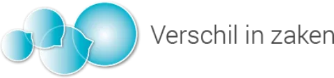 Het logo van Verschil in zaken op Webburo Spring BV