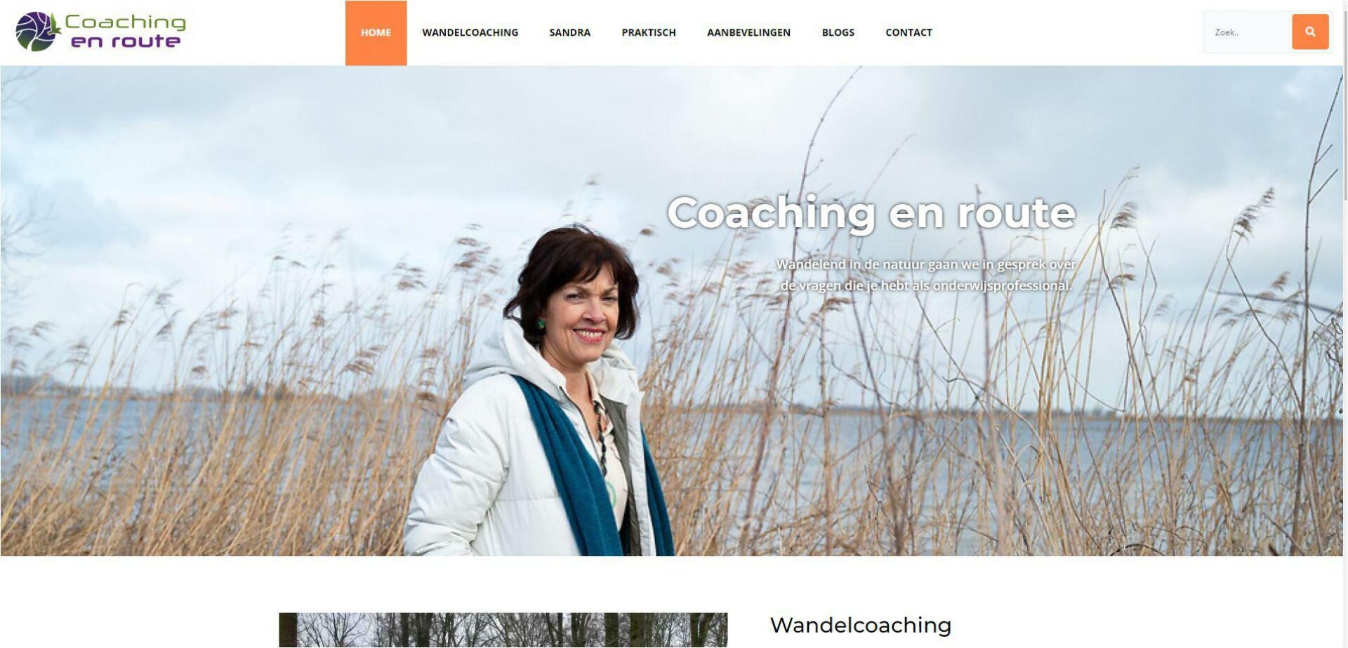 Website wandelcoaching