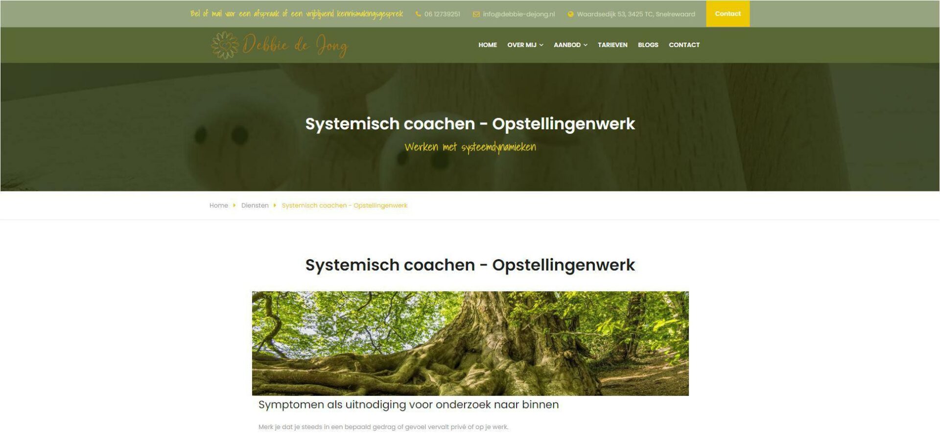 Website ademcoach