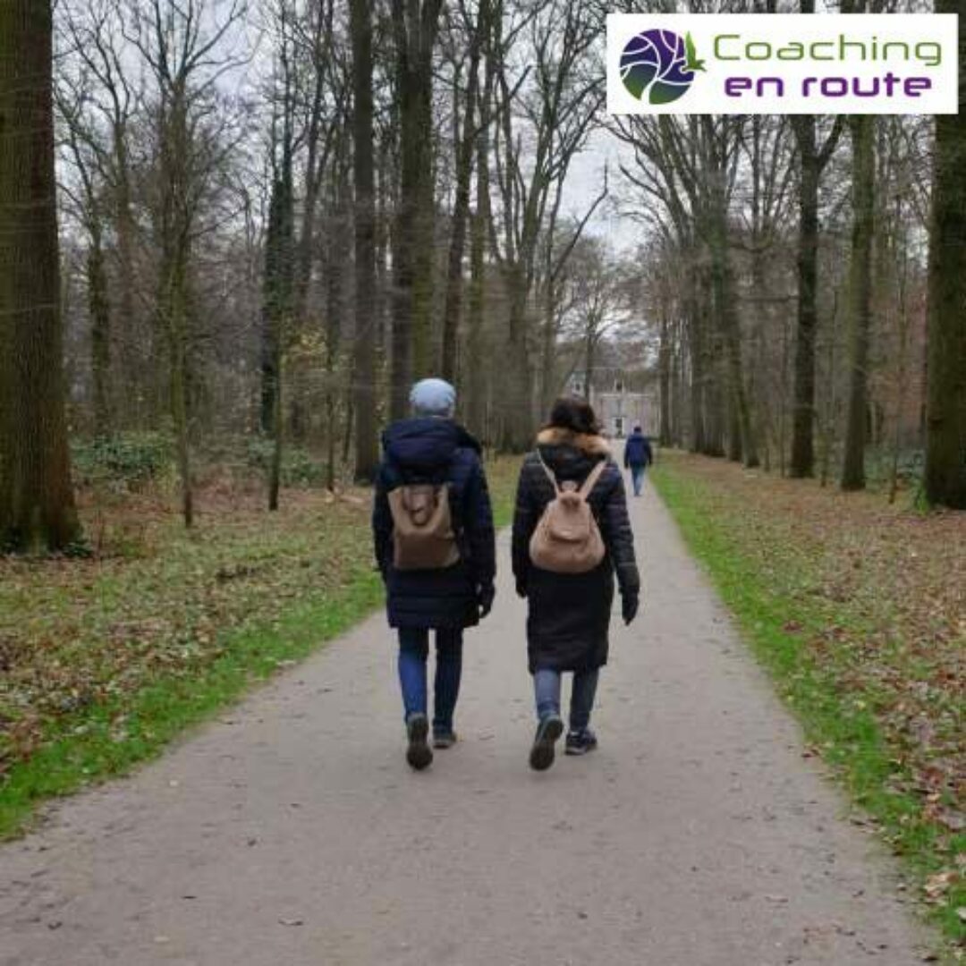 Website wandelcoaching