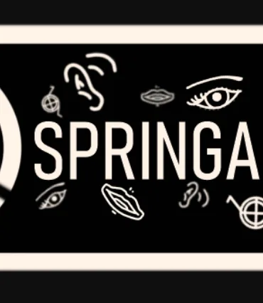 Toegankelijkheidstool Webburo Spring BV